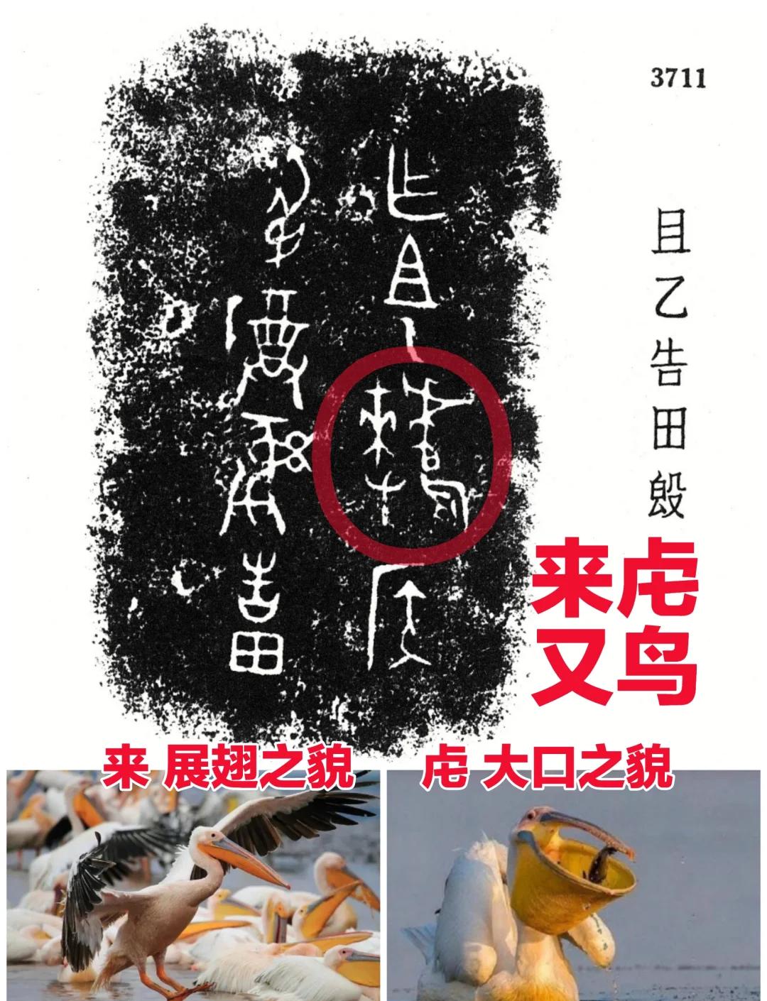 开云 -蠣⒘m?撱?莁??灠^?駑C駲杇&amp;}J鱝6镗.jt/d?p胬	O拈??cBF8w?|疝逑煿甃2/的简单介绍